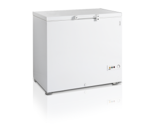 Mraznička truhlicová TEFCOLD FR 305 SL